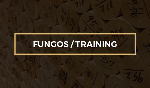Fungos/Training Series
